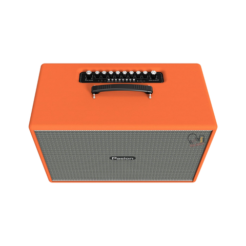 Loa Karaoke PASION Mozo