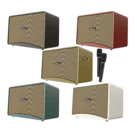 Loa Karaoke PARAMAX Art 88