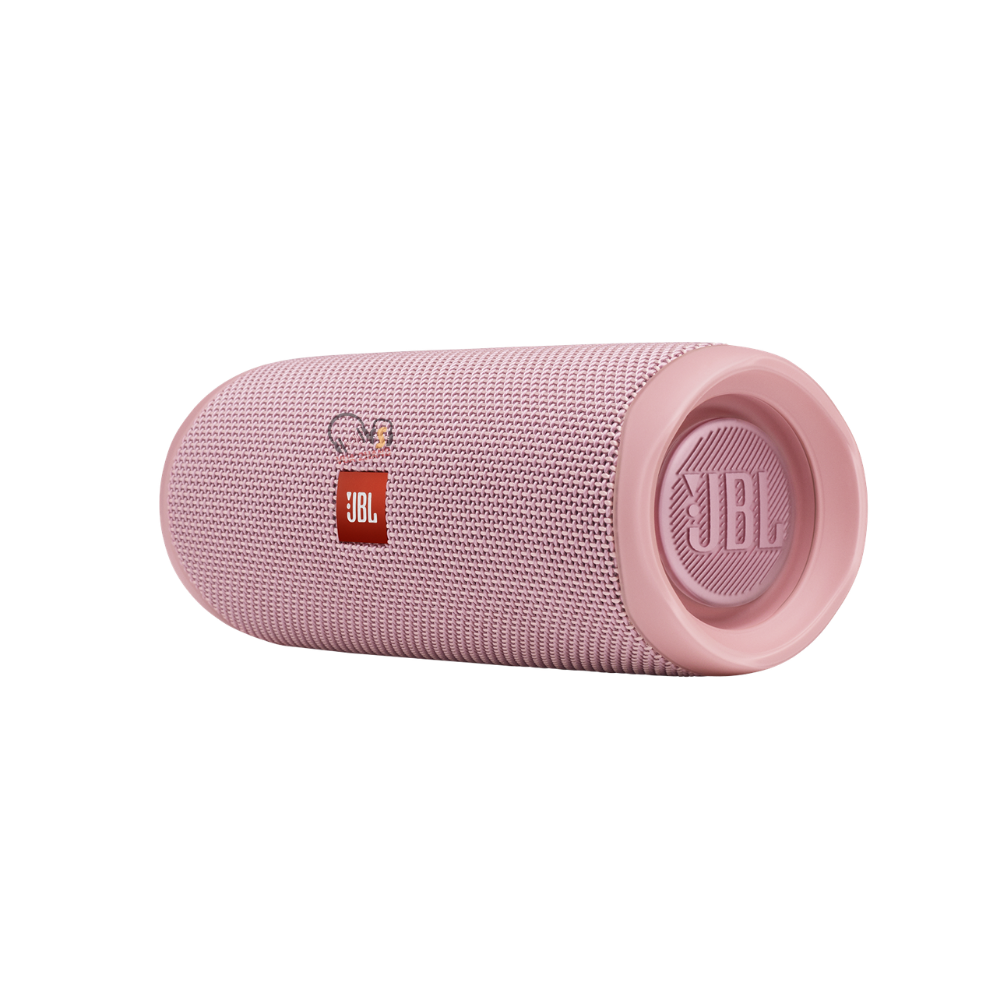 Loa Bluetooth JBL Flip 5 cũ
