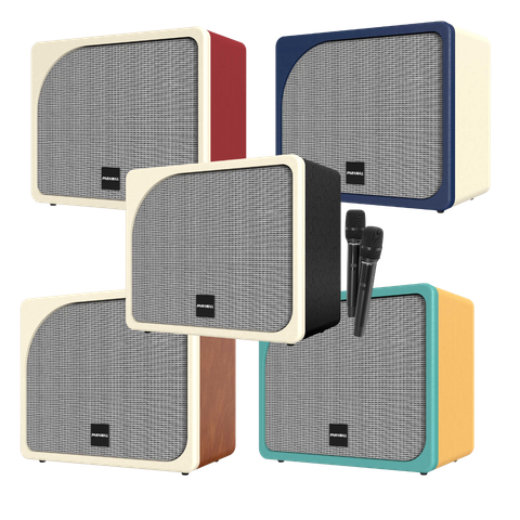 Loa Karaoke PARAMAX Evox