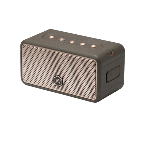 Loa Bluetooth Alpha Works W39