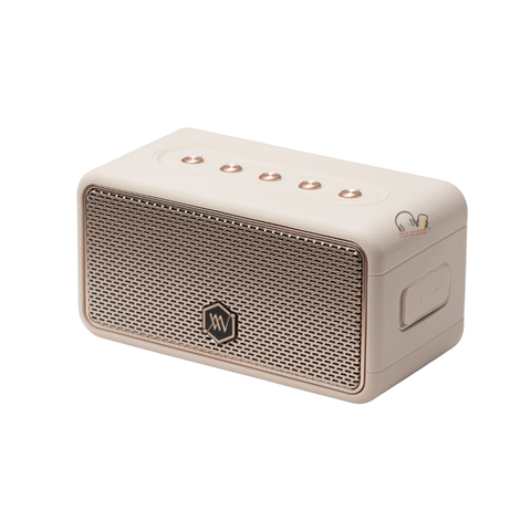 Loa Bluetooth Alpha Works W39