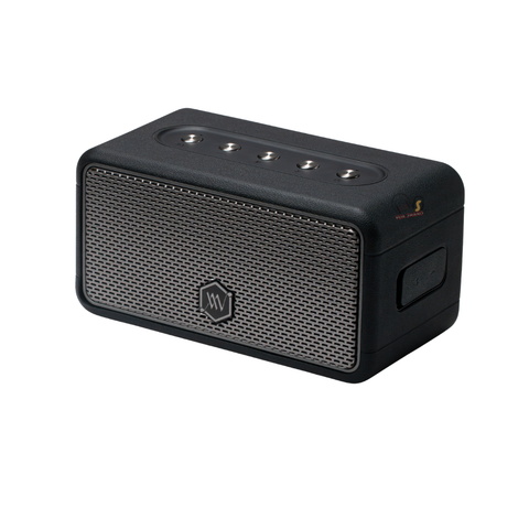 Loa Bluetooth Alpha Works W39