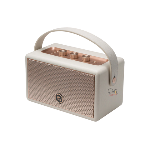 Loa Bluetooth Alpha Works W89