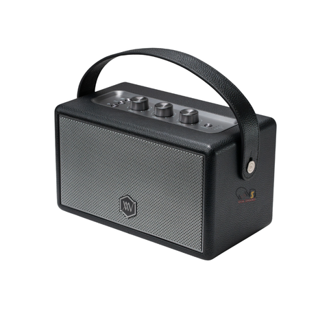 Loa Bluetooth Alpha Works W89