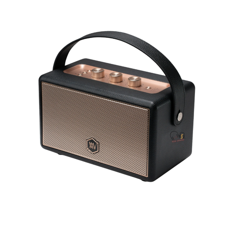 Loa Bluetooth Alpha Works W89