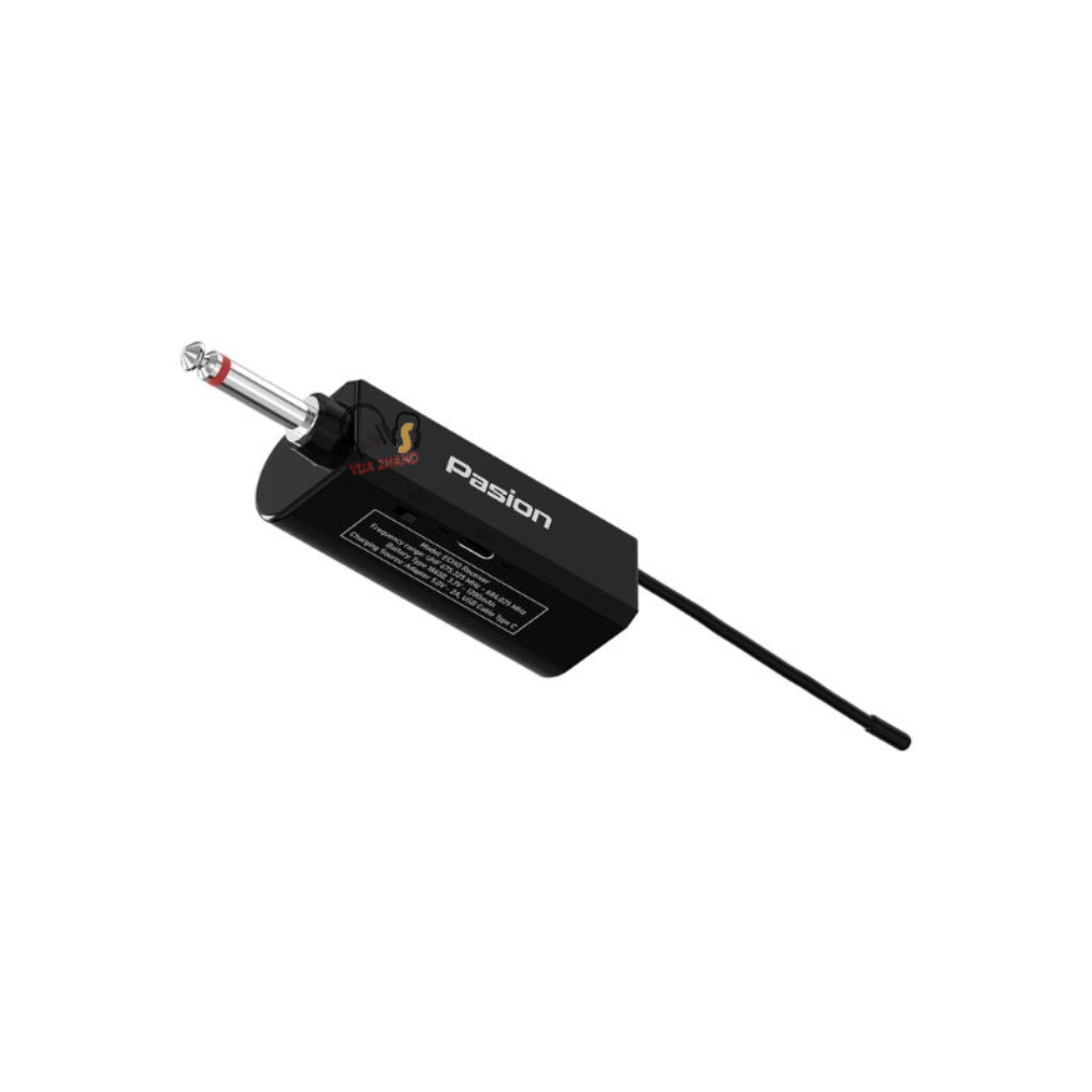 Micro Karaoke Paramax Pasion Echo 2025