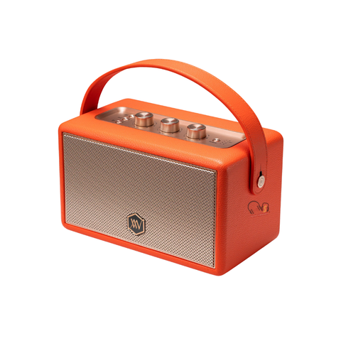 Loa Bluetooth Alpha Works W89