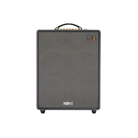 Loa Karaoke ACNOS CS552 Plus