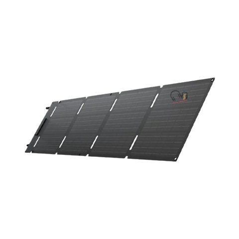 Tấm pin năng lượng mặt trời EcoFlow 60W Solar Panel