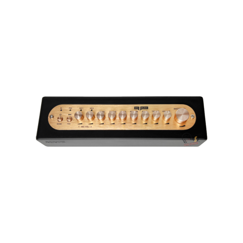 Micro karaoke ACNOS MI30S V2