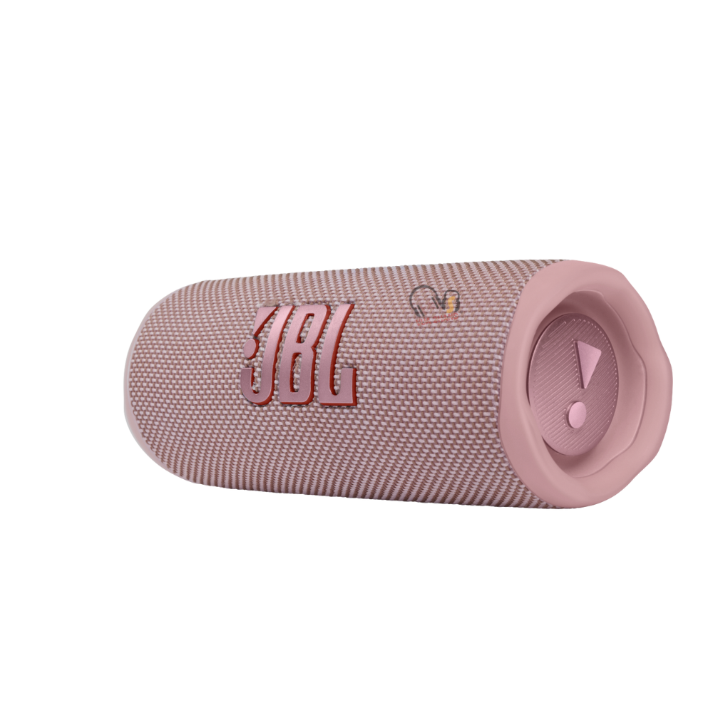 Loa Bluetooth JBL Flip 6 cũ