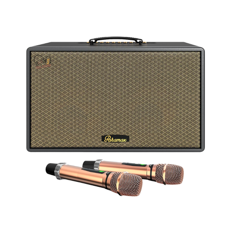 Loa Karaoke Paramax Saga