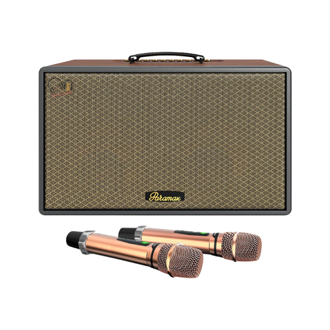 Loa Karaoke Paramax Saga