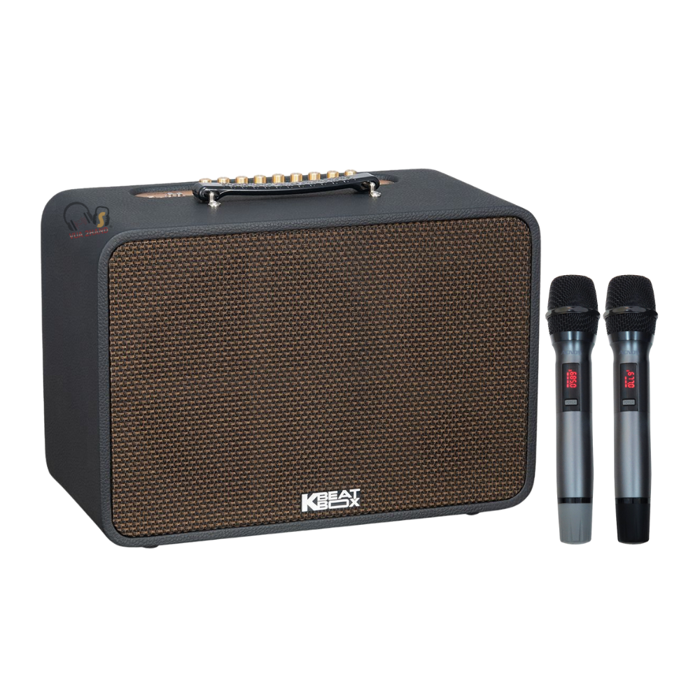Loa Karaoke Acnos CS250PRO cũ