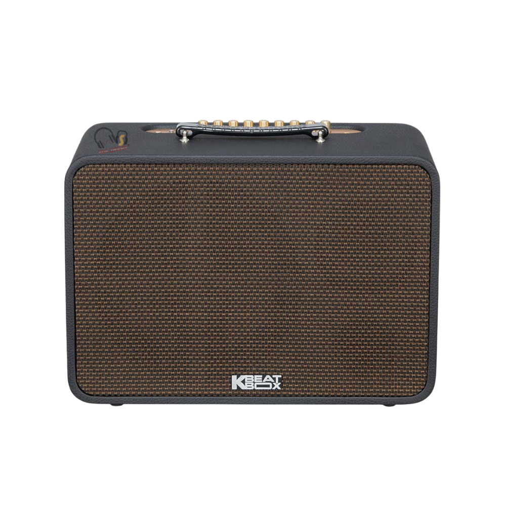 Loa Karaoke Acnos CS250PRO cũ
