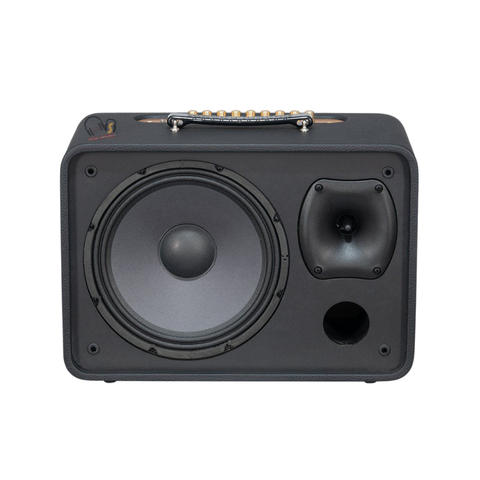 Loa Karaoke Acnos CS250PRO