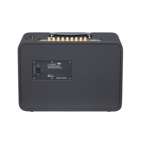 Loa Karaoke Acnos CS250PRO