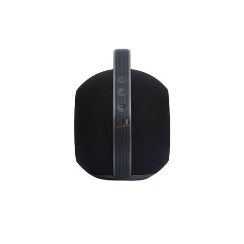 Loa Bluetooth Devialet Mania