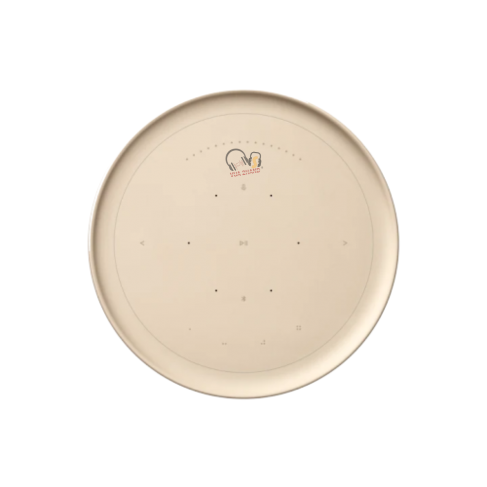 Loa Bluetooth Bang & Olufsen Beosound Balance cũ
