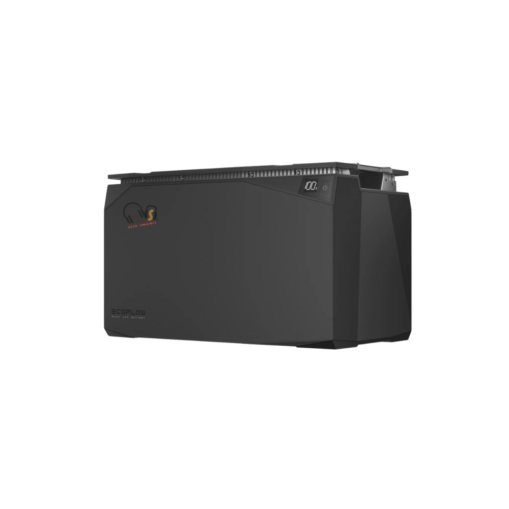 EcoFlow LFP Battery