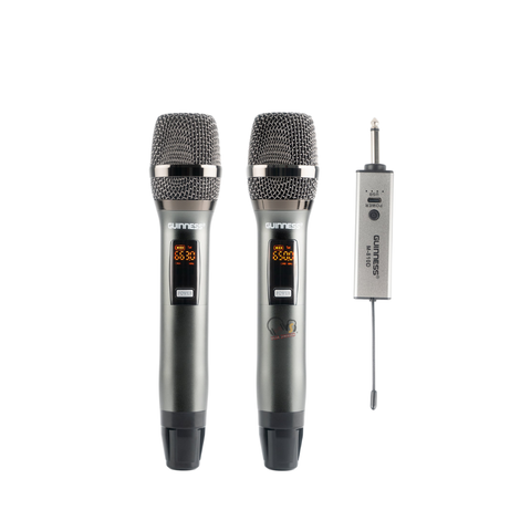 Micro Karaoke GUINNESS M-810D