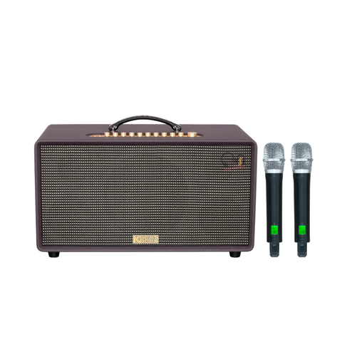 Loa Karaoke Di Động ACNOS FLAC 36 Ver2