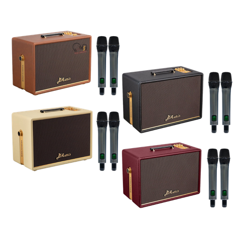 Loa Karaoke Acnos D’Auris 300