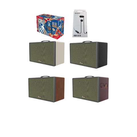 Loa Karaoke Paramax Saga