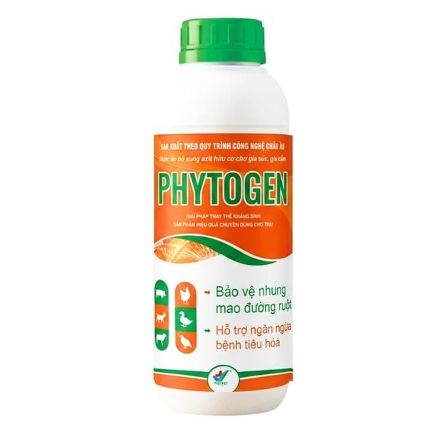  PHYTOGEN 