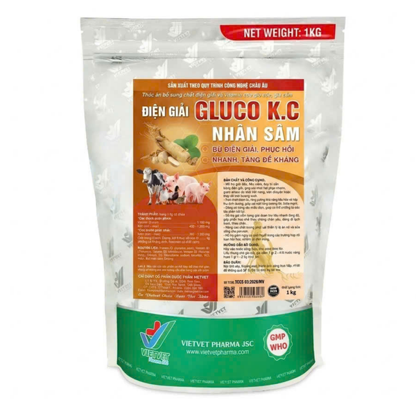  ĐIỆN GIẢI GLUCO K.C – NHÂN SÂM 