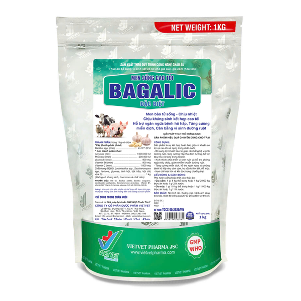  MEN SỐNG CAO TỎI BAGALIC 
