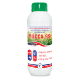  YUCCA 99 