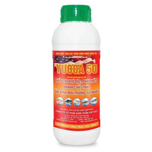  YUCCA 50 