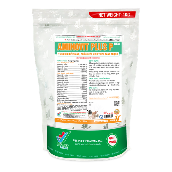  AMINOVIT PLUS P 