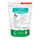  AMOXCOLI W.S.P (50) 