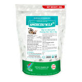  AMOXCOLI W.S.P (50) 