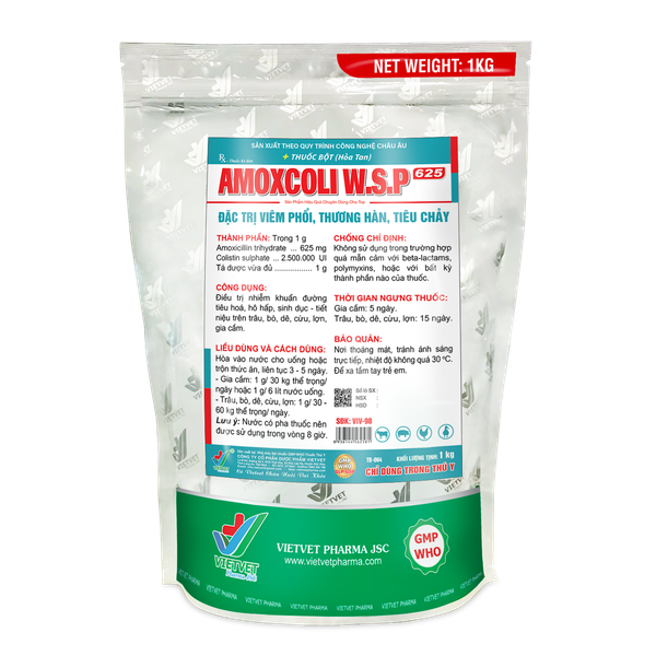  AMOXCOLI W.S.P 625 