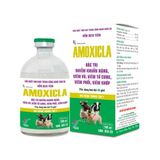  AMOXICLA 