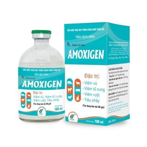  AMOXIGEN 