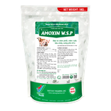 AMOXIN W.S.P 