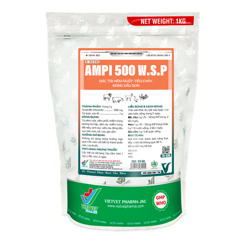  AMPI 500 W.S.P 