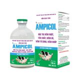  AMPICOL 