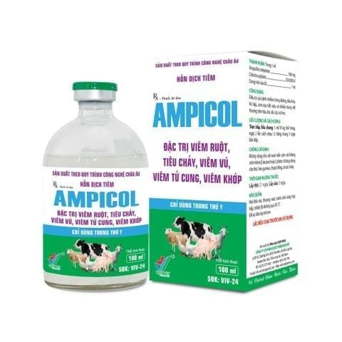  AMPICOL 