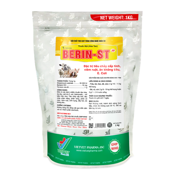  BERIN-ST 10 