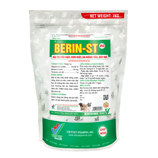 BERIN-ST 20 