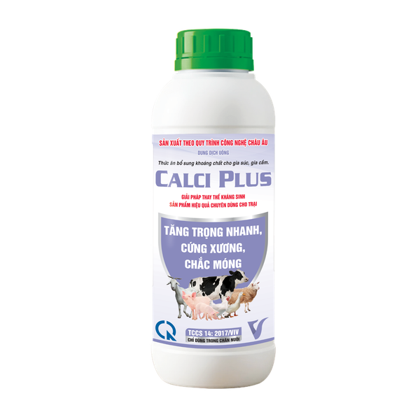  CALCI PLUS 
