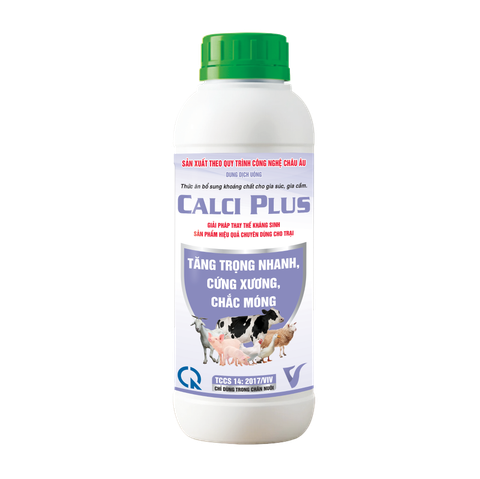  CALCI PLUS 