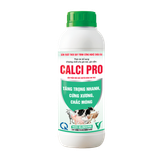  CALCI PRO 