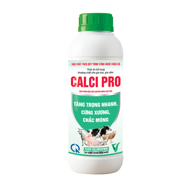  CALCI PRO 